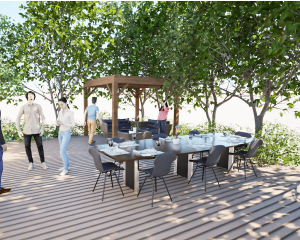 Pergolas bois OMBRIERE 3.00 x 3.00 m 2