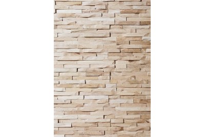 REVETEMENT MURAL CHENE WOOD 2 WALL BASTIDE CHE140