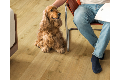 Chêne truffier -  1380 mm x  190 mm - Ep. 12 mm