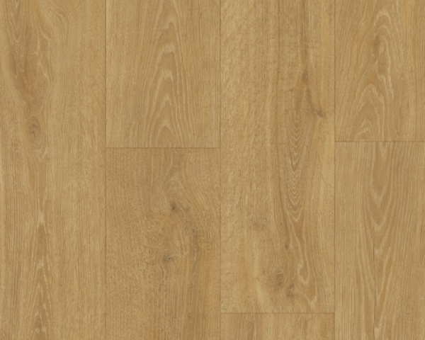 Chêne des bois naturel -  2050 mm x  240 mm - Ep. 9.5  mm