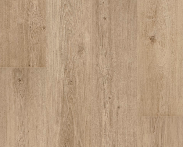 Champagne -  1524 mm x  225 mm - Ep. 4 mm