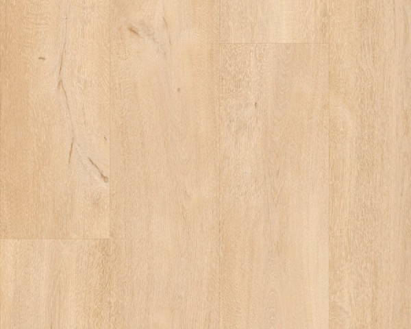 Petit Beurre -  2000 mm x  240 mm - Ep. 4.5 mm