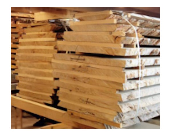 Bois en plot - Bille de Frêne