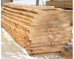 Bois en plot - Bille de Hêtre 100 mm 2