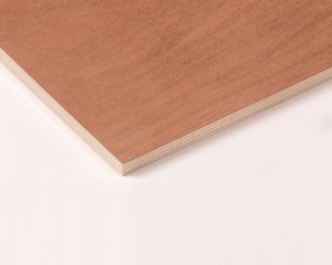 Panneau Contreplaqué 2 Faces OKOUMÉ - 3,10 m x 1,53 m - ép.22 mm 2