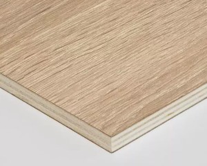 Panneau Contreplaqué CHÊNE FIL A/B - 3,10 m x 1,53 m - ép.9 mm 2
